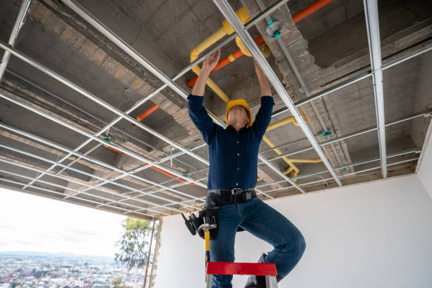 Best Plumbing Inspection Services  in Orleans, IN